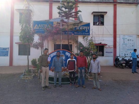 वन वृक्षारोपण को घेरे 44 बंडल लोहे की जाली चुराने वाले 4 गिरफ्तार