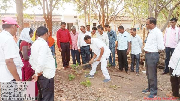छूही में तेंदूपत्ता शाखकर्तन कार्यशाला
