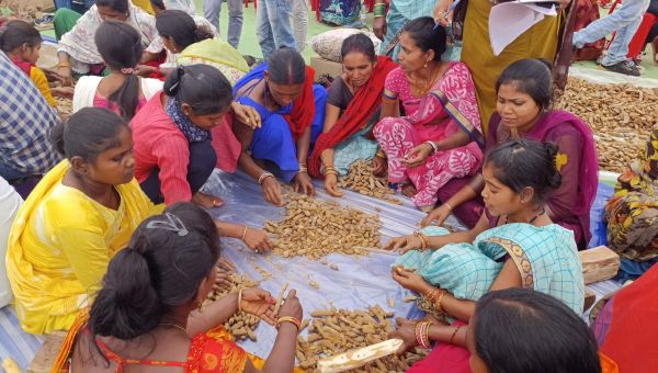 ईमली संग्रहण व गुणवत्ता नियंत्रण पर प्रशिक्षण 
