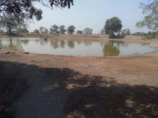 जिपं सीईओ ने ग्रामीण औद्योगिक पार्क के निर्माण कार्यों का किया मुआयना