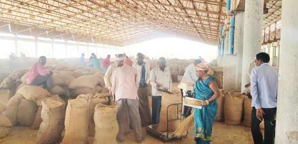 जिले में 5 लाख मीट्रिक टन  से अधिक का धान उपार्जन