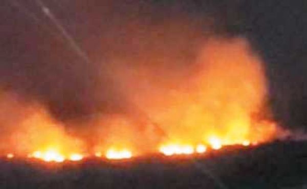 खरसिया के बरगढ़ जंगल में लगी आग, वन विभाग नहीं ले रहा सुध 