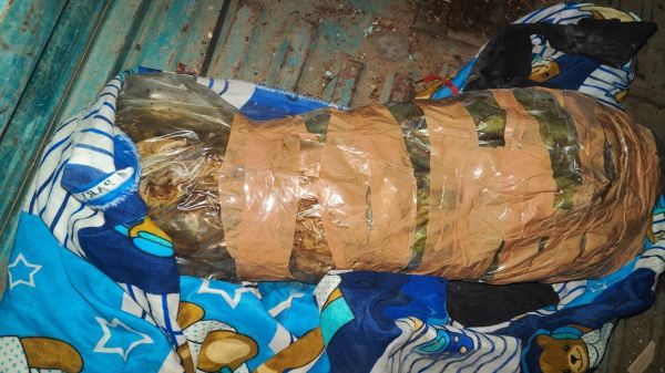 नकली नोट तलाश रही पुलिस को पांच टुकड़ों में मिली महिला की लाश