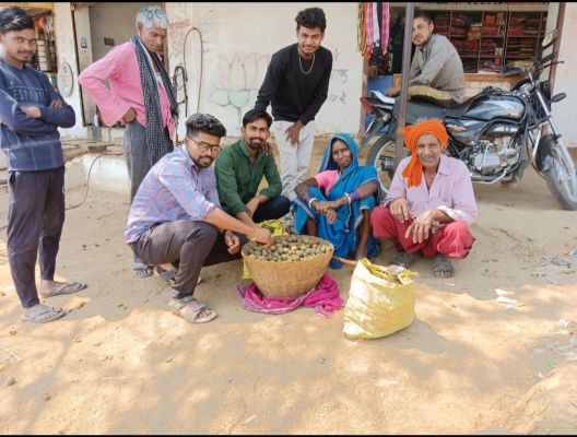 जंगली फल तेंदू की बाजार में बढ़ी मांग