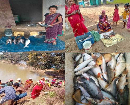 बिहान के तहत ग्रामीण महिलाएं हो रही स्वालंबी
