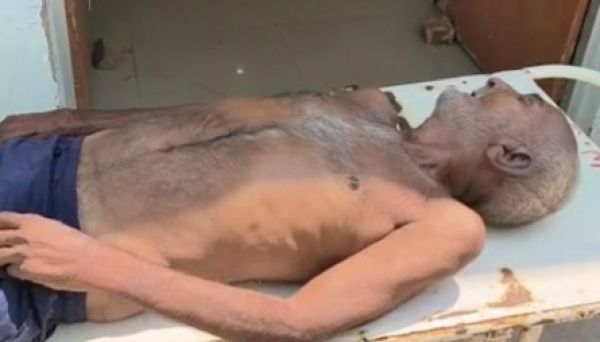 मधुमक्खियों के हमले से बुजुर्ग की मौत