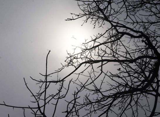 सूरज की तपिश में गिरावट, प्रदेश  में यलो और आरेंज अलर्ट भी