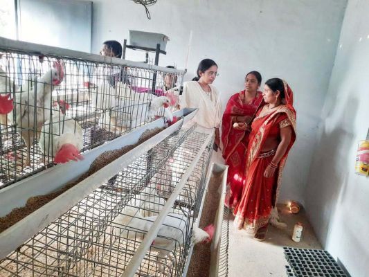 रीपा गौठान हंचलपुर का जिला पंचायत सीईओ ने किया निरीक्षण