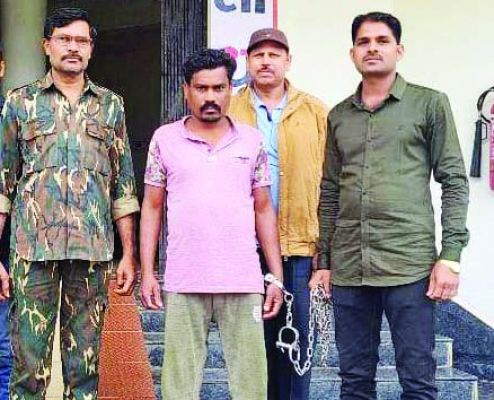 तस्कर से 4 मवेशी बरामद, कार्रवाई