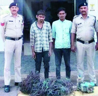 पंप और केबल वायर चोरी  के आरोपी पकड़ाए