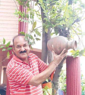 विश्व गौरैया दिवस पर गौरैया को गिफ्ट, पेड़ों में लटकाएं सुराही- बनाएं घोसला -विजय मिश्रा