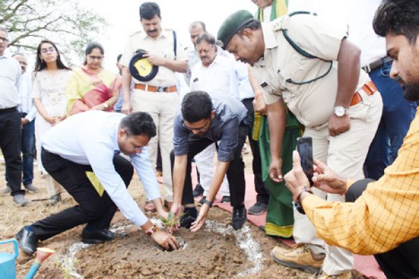 वृक्ष संपदा योजना, 6 सौ पौधे रोपे