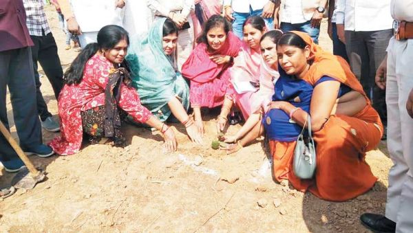 बंजारी में मुख्यमंत्री वृक्ष संपदा योजना का शुभारंभ