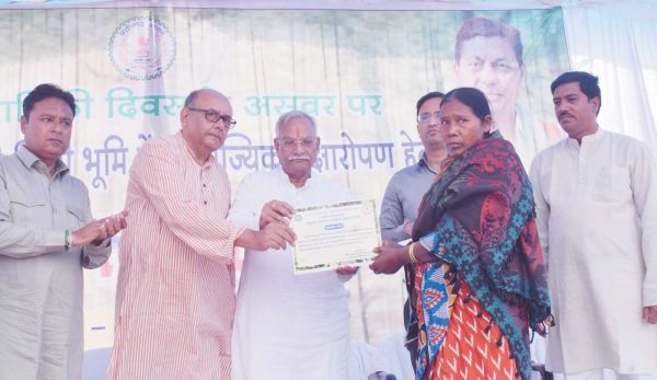 वृक्ष संपदा योजना :  5 सौ एकड़ में  3 लाख 79 हजार से अधिक पौधे लगाने का लक्ष्य