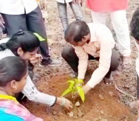 पांच पेड़ लगाने का संकल्प - त्रिपाठी