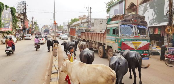 डेयरी संचालकों की महापौर,  कमिश्नर ने ली बैठक