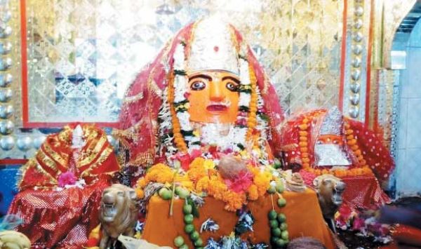 चारों धाम जोगीद्वीप, तरेंगा, सिंगारपुर, सिद्धबाबा में 8071 ज्योति कलश प्रज्जवलित