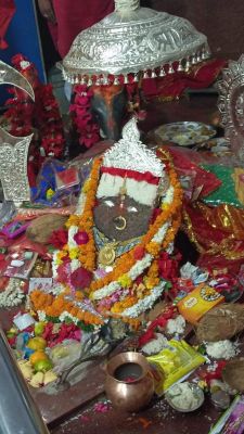 पंचमी पर शीतला शक्ति पीठ सिहावा में भक्तों की उमड़ी भीड़ 