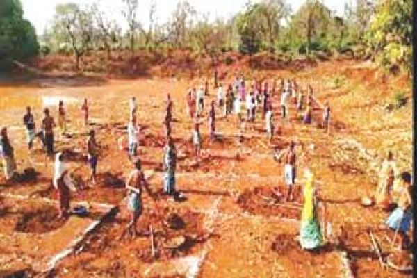 छत्तीसगढ़ में मनरेगा मजदूरों को अब 221 रूपए मिलेंगे