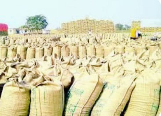 20 क्विंटल धान बेचने से होगा 10 हजार प्रति एकड़ का लाभ