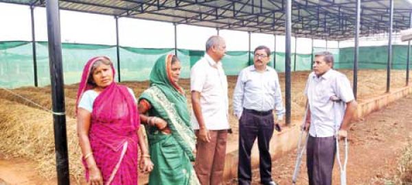 निलजा गौठान में बनता है जैविक, कीटनाशक ब्रह्मास्त्र