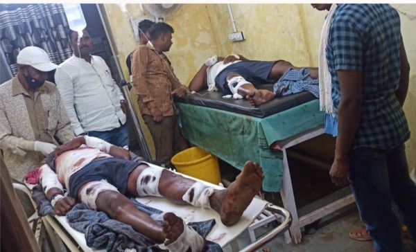 भालू के हमले से पिता-पुत्र घायल