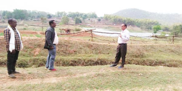 66 एकड़ में चाय की खेती, 36 किसानों को नाशपाती व अन्य फसलों के लिए बीज दिया