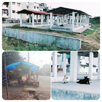 सरकार की पौनी पसारी योजना अधर में  आबाद नहीं हो सका बाईरदादर रोड़ का सब्जी पसरा