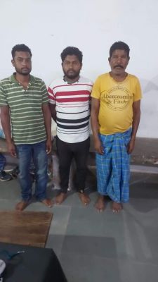 मवेशी तस्करी, 3 पकड़ाए