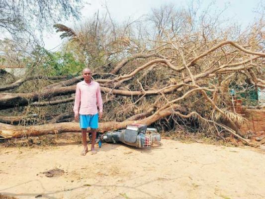 तेज हवा के साथ बेमौसम बारिश, ओले गिरे, फसलें बर्बाद, घरों को नुकसान