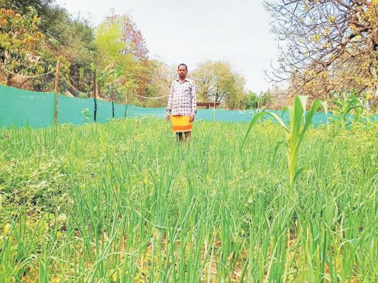 सतलाल ने मनरेगा से कूप निर्माण कर आय संवृद्धि को दिया बढ़ावा