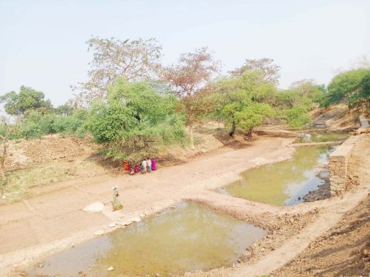 महात्मा गांधी नरेगा अंतर्गत वृक्ष माला नदी तट संरक्षण अभियान शुरु