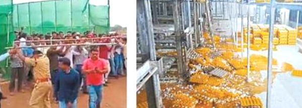 मुलमुला पोल्ट्री फार्म में तोडफ़ोड़, 10 करोड़ के नुकसान का दावा, महिलाओं से अभद्रता