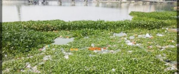 निस्तारी तालाबों के पैठू पर अस्तित्व का संकट