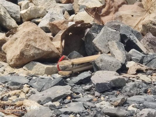 5 किलो का प्रेशर बम किया नष्ट