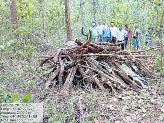 उदंती अभ्यारण में गौर की सड़ी-गली लाश मिली