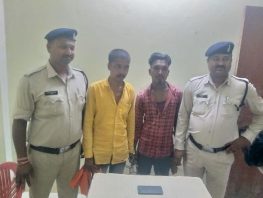 मच्छर जो करता था मोबाइल चोरी
