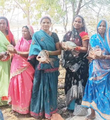 भावना समूह की महिलाओं को मत्स्य पालन से मिला आर्थिक लाभ