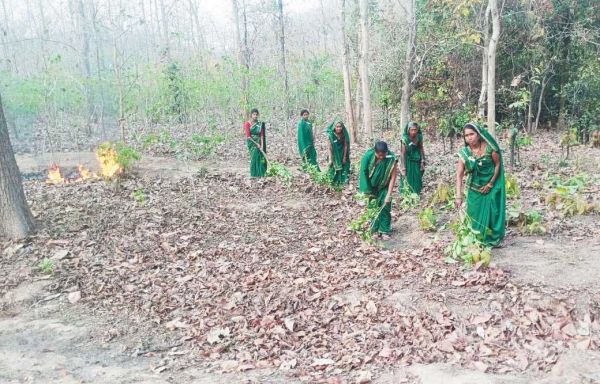 जंगल को आग की लपटों से बचाने महिलाओं ने पेश की मिसाल