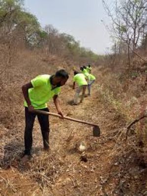 नहर नालियों की सफाई शुरू,  नपाध्यक्ष ने किया निरीक्षण