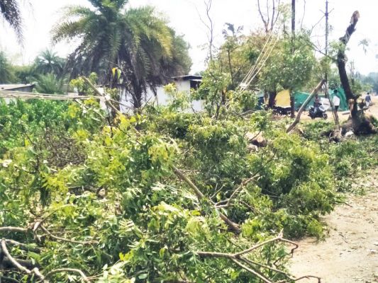 बारिश व आंधी-तूफान, बिजली तार पर  गिरा पेड़, दर्जनभर घरों की उड़ी शीट