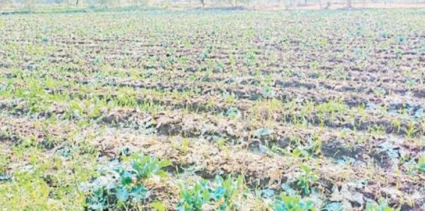 मुआवजा नहीं मिला तो करेंगे आंदोलन