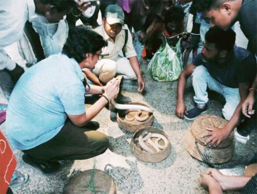 सर्परक्षक समिति ने सांपों को सपेरों से छुड़ाया, जंगल में सुरक्षित छोड़ा 