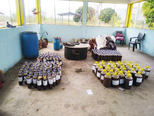 गौमूत्र खरीदी में रायगढ़ पूरे प्रदेश में टॉप पर