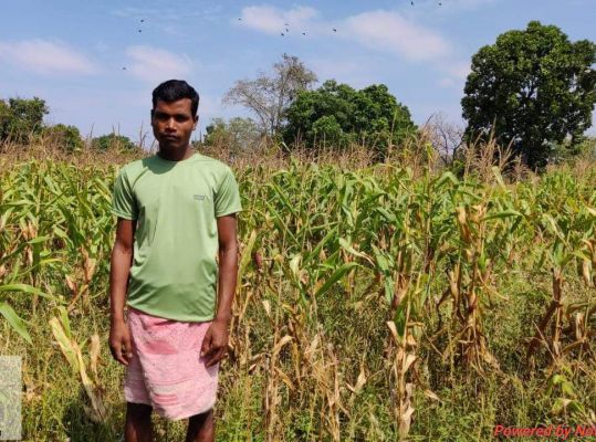नरवा विकास कार्यों से मिला चमाई नाला को मिला नया जीवन