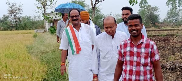 बेमौसम बारिश की मार,  खेतों का जायजा लेने  पहुँचे मंडी अध्यक्ष
