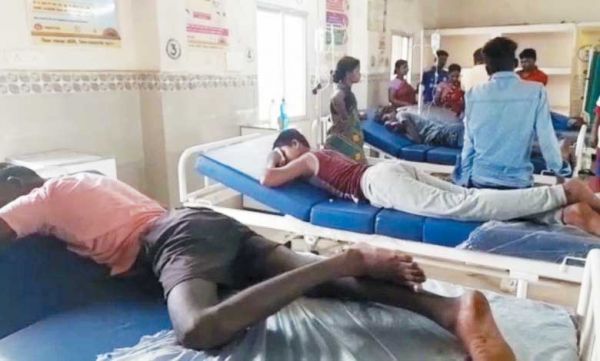  बच्चे-युवाओं की टोली पर मधुमक्खियों का हमला, औंधी क्षेत्र में हुए घटना में 6 से अधिक जख्मी