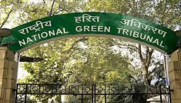 कलेक्टर, एसपी, निगम आयुक्त, एमडी विद्युत वितरण कंपनी पर पेनाल्टी लगाने याचिका