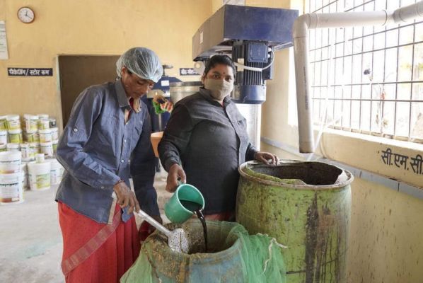 स्व सहायता समूह की महिलाएं बना रही  हैं गोबर से इमल्शन एवं डिस्टेंपर पेंट