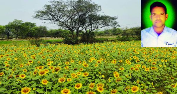 धान की खेती से हटकर किसान अपने  खेतों में उगा रहे हैं दूसरी फसलें